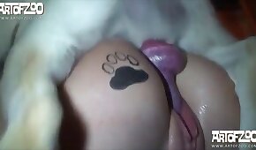 sexo de cachorro,animal fode garota